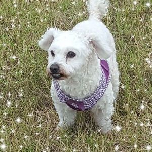 Meet your Posher, Debbie